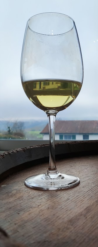 Pacherenc du Vic-Bilh Sec - Vins tranquilles blancs - Photo de Sylvain Torchet - 101Pairing.com