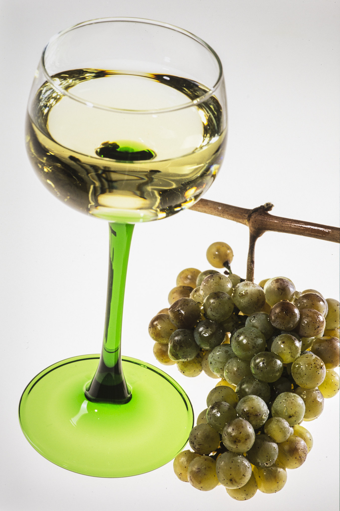 Alsace Riesling - Vins tranquilles blancs - Photo de Jean Weber - 101Pairing.com