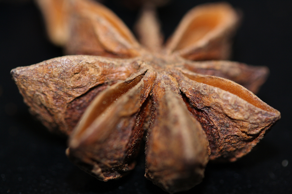 Anisette - Eaux-de-vie et liqueurs - Photo de Danielle Scott - 101Pairing.com