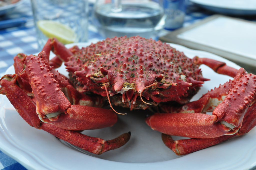 Araignée de mer au pistou - Photo de Frédérique Voisin-Demery - 101Pairing.com