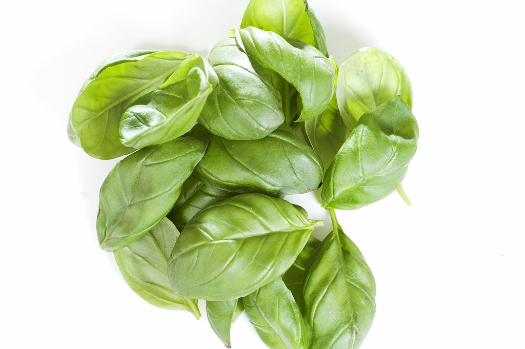 Basilic - Photo de Stuart Webster - 101Pairing.com