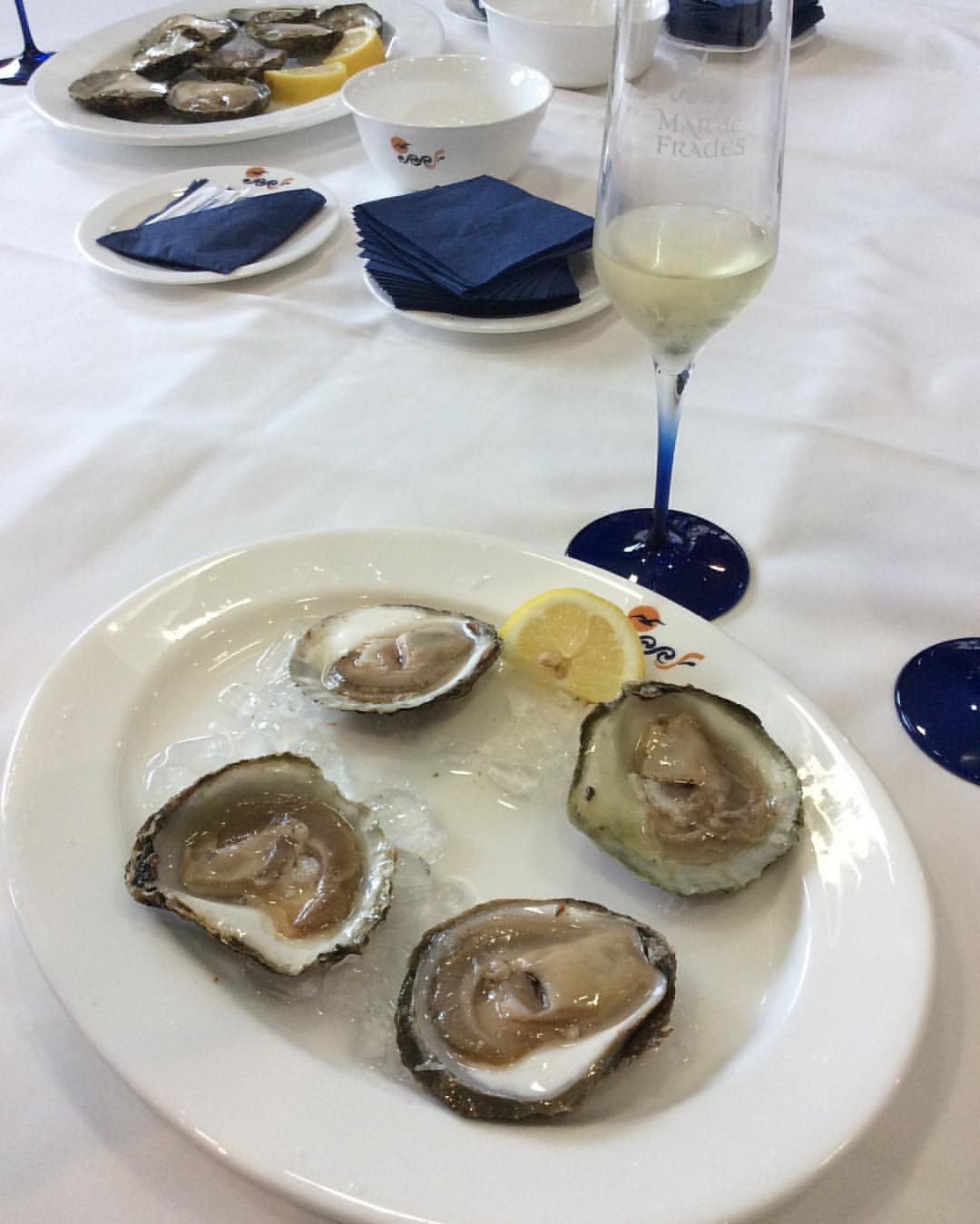 Crémant d&rsquo;Alsace Blanc Pinot noir - Vins effervescents blancs - Photo de GastroyPolitica By FB - 101Pairing.com