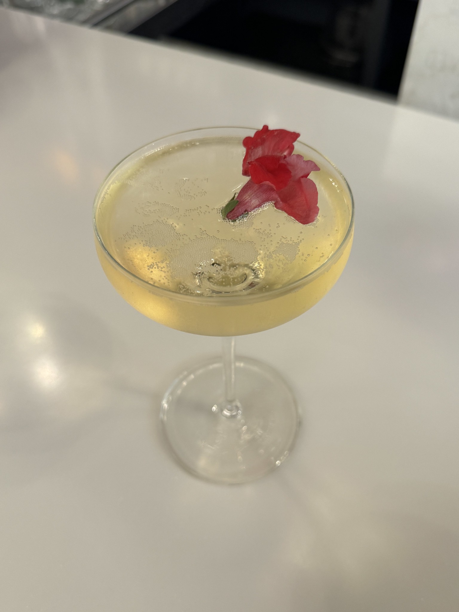 Crémant de la Loire Blanc Demi-sec - Vins effervescents blancs - Photo de Sarah Stierch - 101Pairing.com