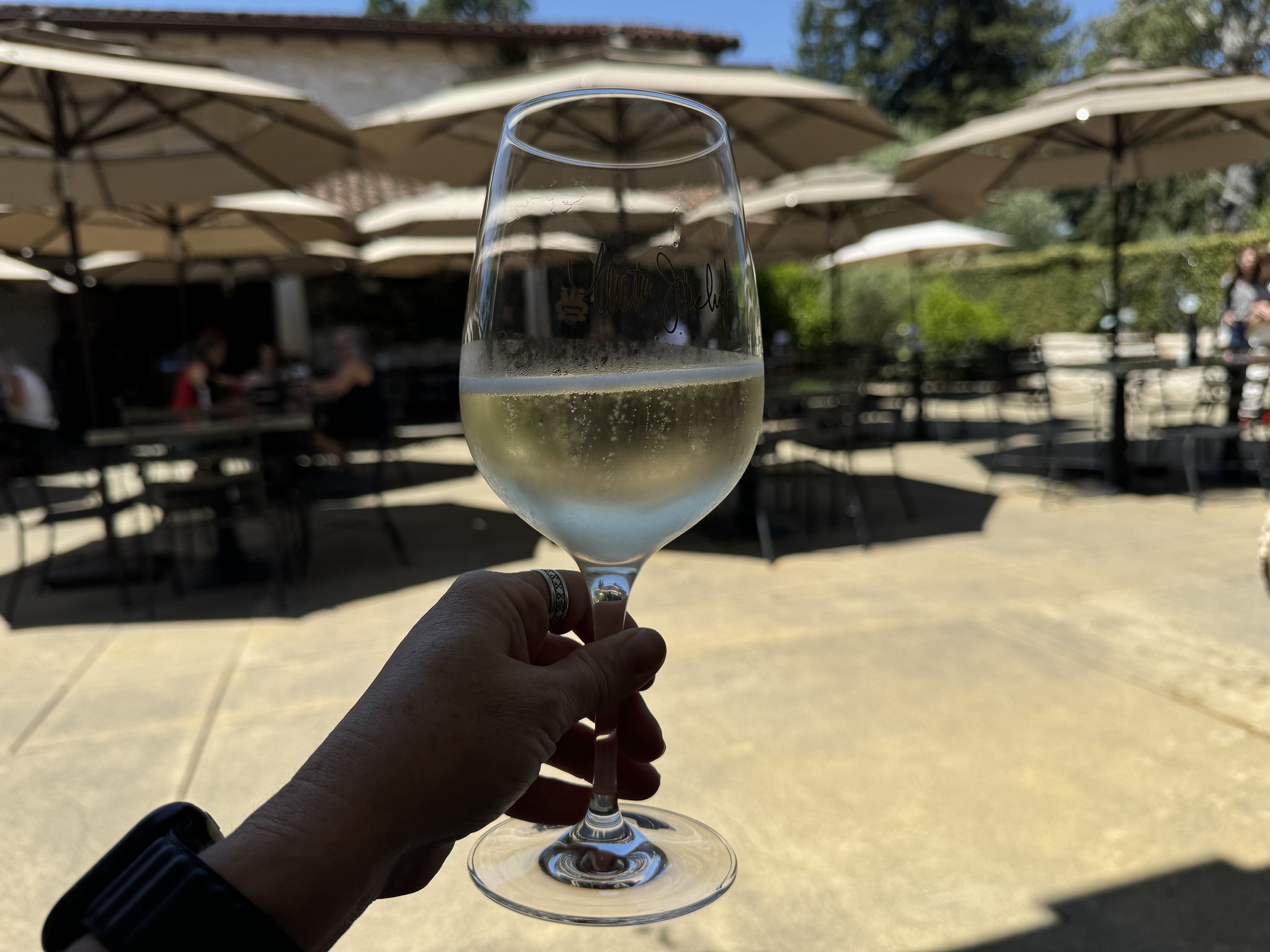 Crémant de la Loire Blanc de noirs Doux - Vins effervescents blancs - Photo de Sarah Stierch - 101Pairing.com