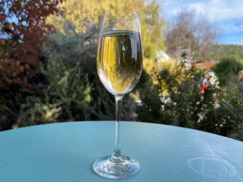 Crémant de Limoux Blanc Brut - Vins effervescents blancs - Photo de Sarah Stierch - 101Pairing.com