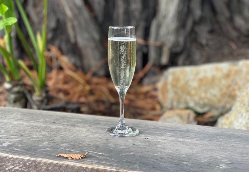 Champagne Grand cru Aÿ Blanc de noirs Brut non dosé - Vins effervescents blancs - Photo de Sarah Stierch - 101Pairing.com