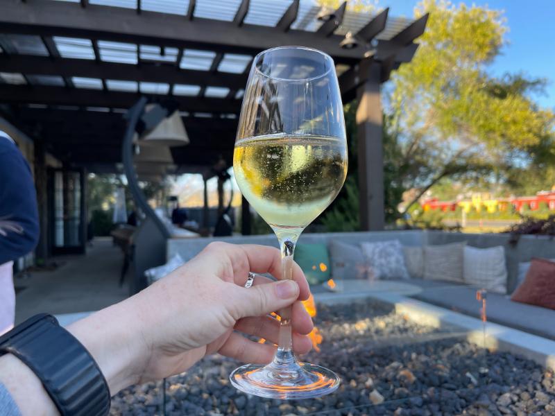 Champagne Grand cru Blanc de blancs Brut Non dosé Millésimé - Vins effervescents blancs - Photo de Sarah Stierch - 101Pairing.com