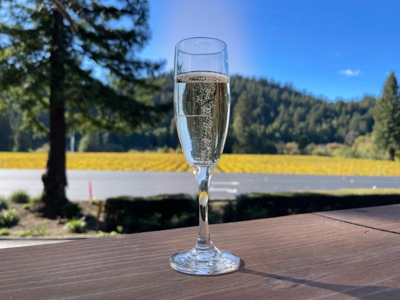 Champagne Grand cru Louvois Blanc de noirs Brut - Vins effervescents blancs - Photo de Sarah Stierch - 101Pairing.com