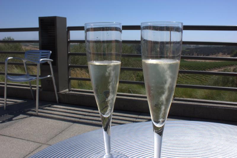 Champagne Grand cru Verzenay Blanc de noirs Brut Millésimé - Vins effervescents blancs - Photo de Krista - 101Pairing.com