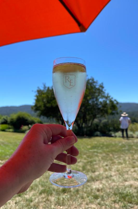 Champagne Grand cru Aÿ Blanc de noirs Demi-sec Millésimé - Vins effervescents blancs - Photo de Sarah Stierch - 101Pairing.com