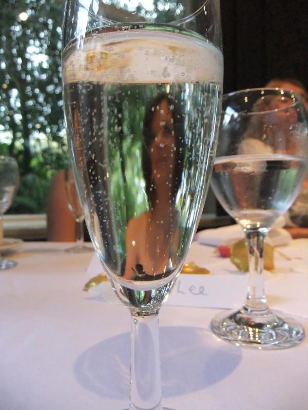 Champagne Premier cru Rilly-la-Montagne Blanc Demi-sec - Vins effervescents blancs - Photo de Lee Haywood - 101Pairing.com