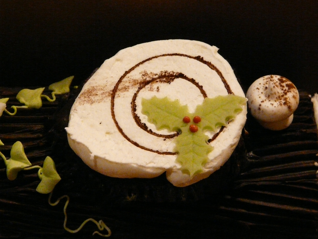 Bûche de Noël au chocolat blanc et au citron - Photo de technicolours - 101Pairing.com