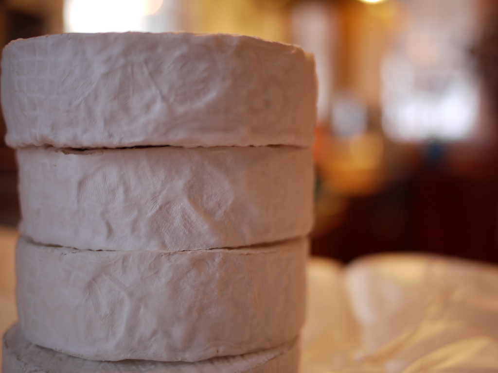 Beignets de Camembert - Photo de Rebecca Siegel - 101Pairing.com