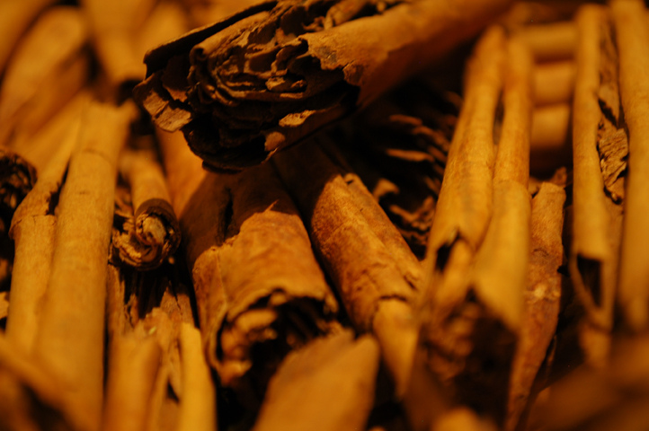 Cannelle - Photo de Francesca Pulvirenti - 101Pairing.com