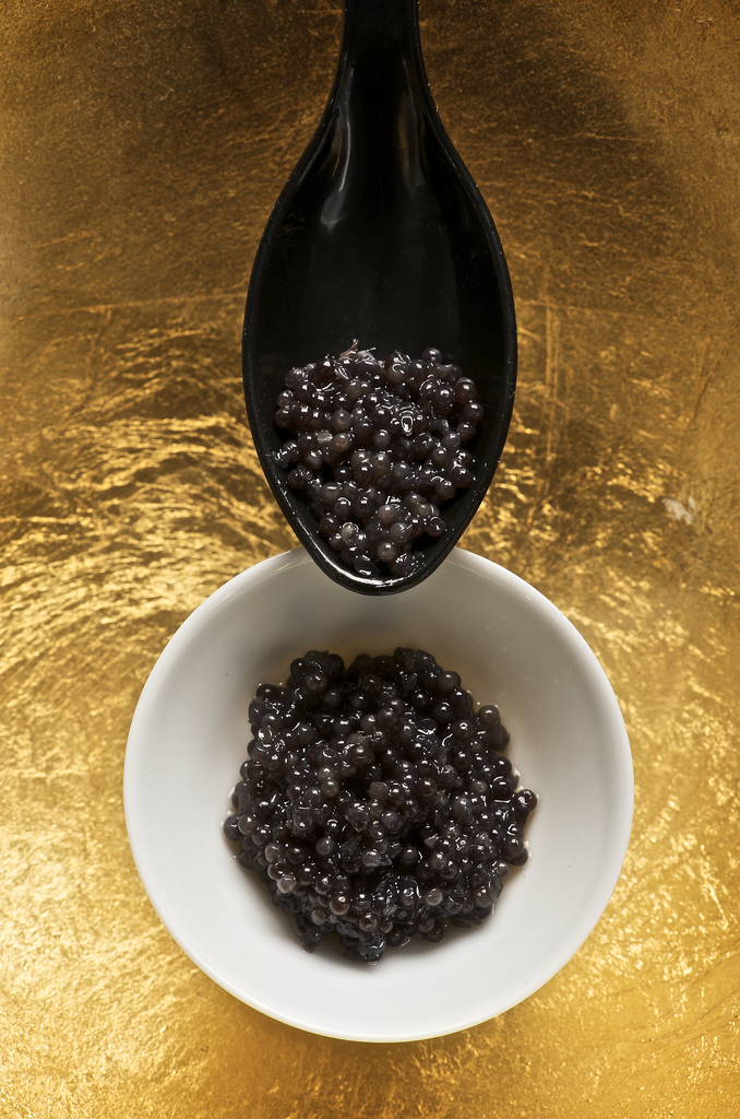 Caviar - Photo de TIGER500 - 101Pairing.com