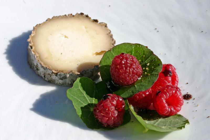 Charolais - Photo de H. Alexander Talbot - 101Pairing.com