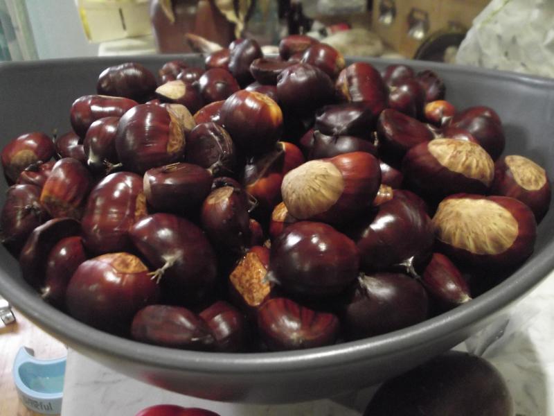 Crème de marrons - Photo de Shagshag - 101Pairing.com