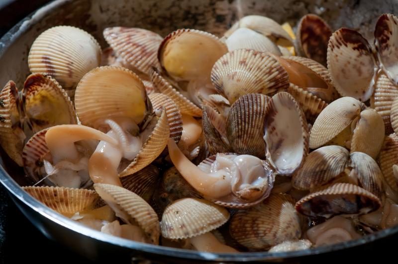 Cassolette de coques et de pétoncles - Photo de VIUDeepBay - 101Pairing.com