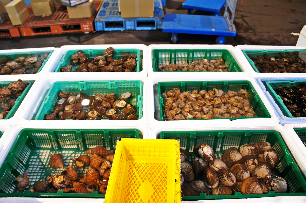 Coquillages - Photo de Sundy Lyn - 101Pairing.com