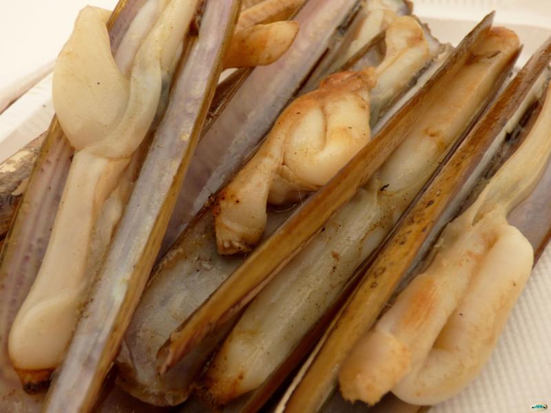 Couteaux à l’ail - Photo de juantiagues - 101Pairing.com