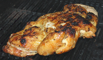 Pigeon en crapaudine - Photo de Jennifer - 101Pairing.com