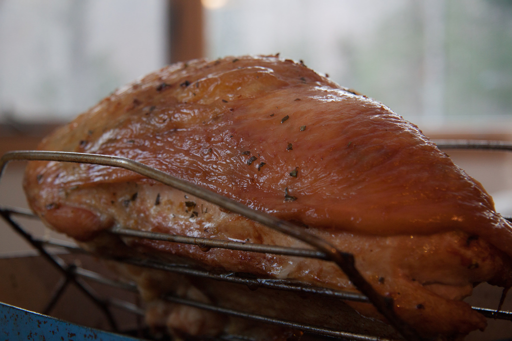 Dinde rôtie - Photo de Tim Sackton - 101Pairing.com