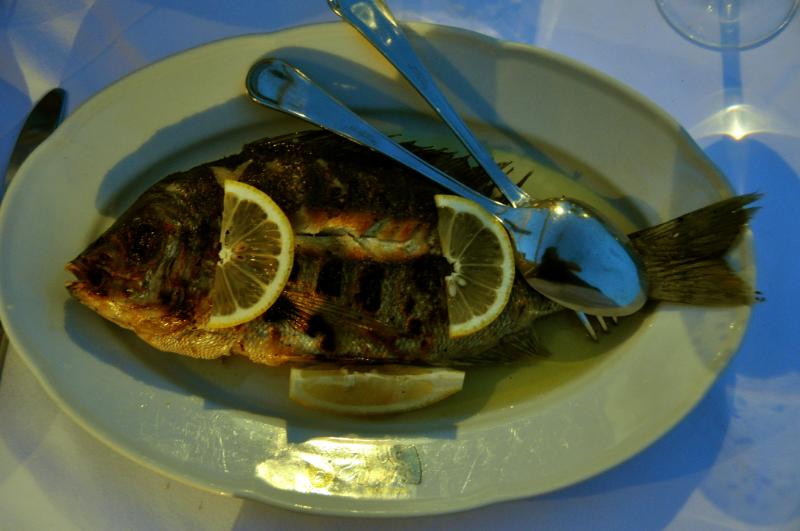 Daurade grillée - Photo de cyclonebill - 101Pairing.com