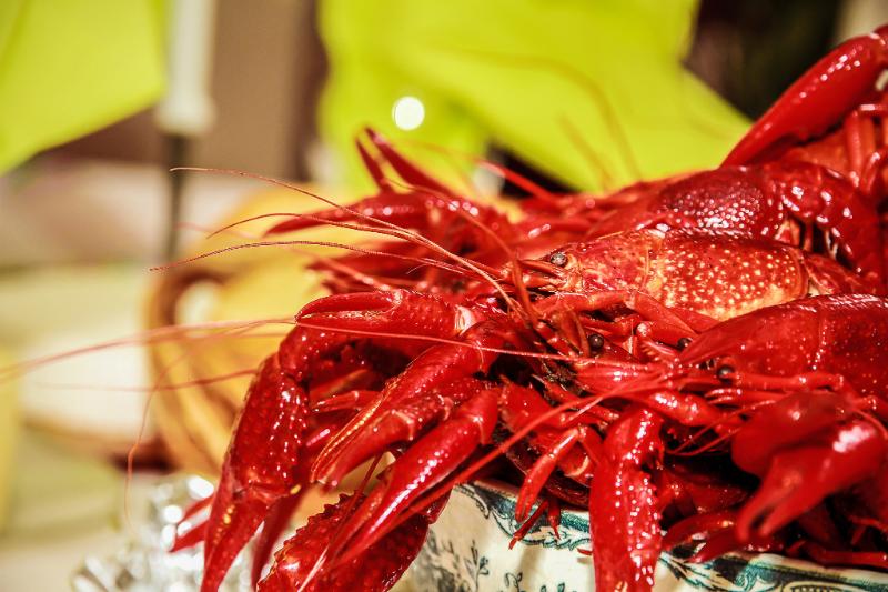 Écrevisses sauce Newburg - Photo de Pontus Årfelt - 101Pairing.com