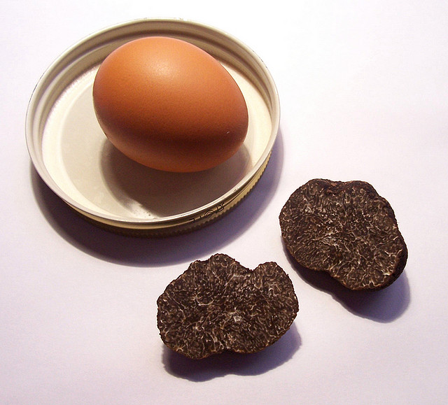 Oeufs brouillés à la truffe noire - Photo de dpotera - 101Pairing.com