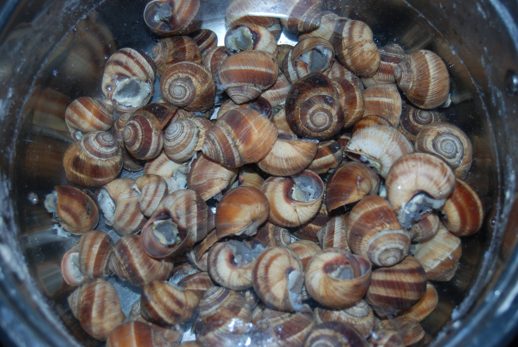 Gratin d’escargots - Photo de George M. Groutas - 101Pairing.com