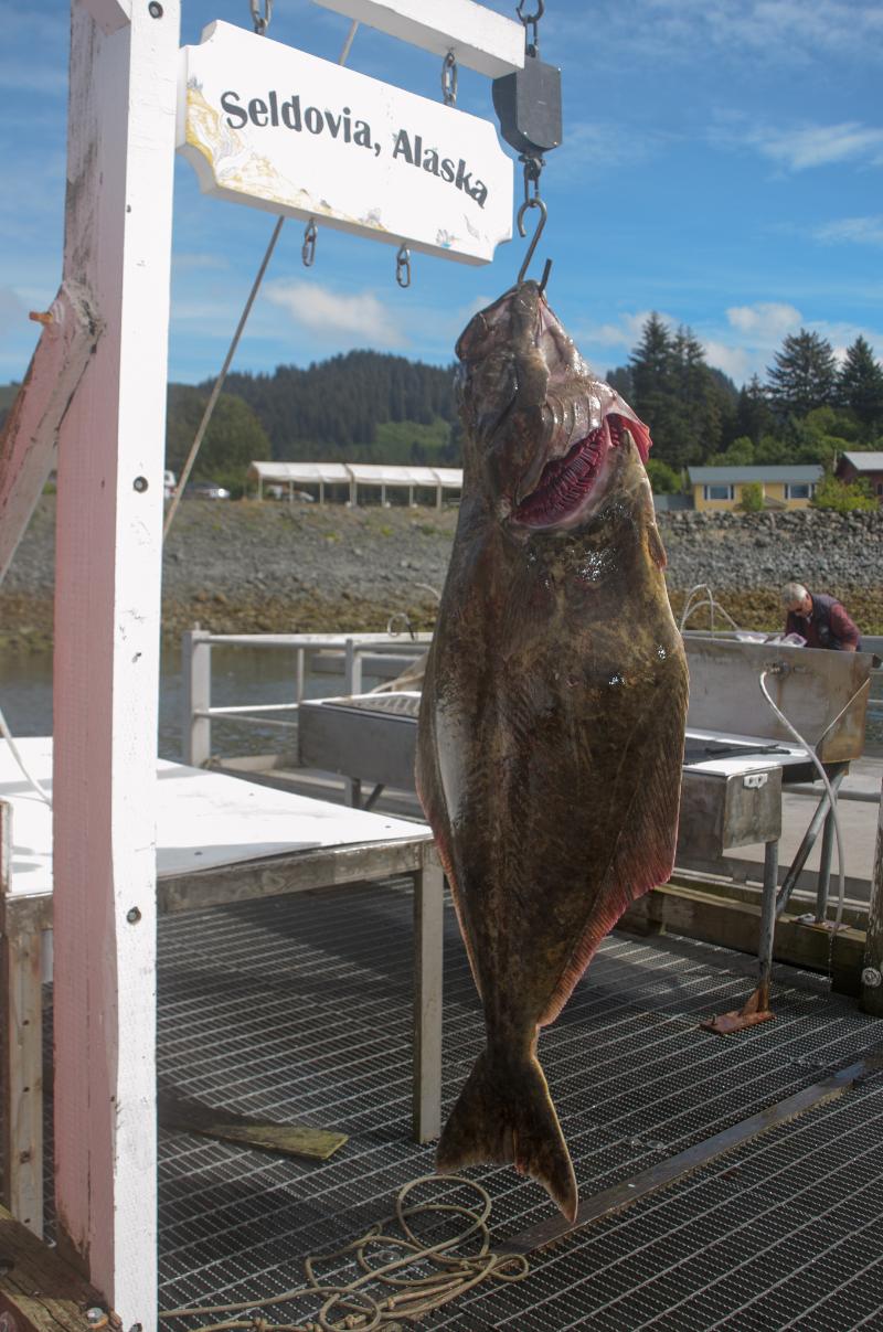 Flétan fumé - Photo de Andrea Pokrzywinski - 101Pairing.com