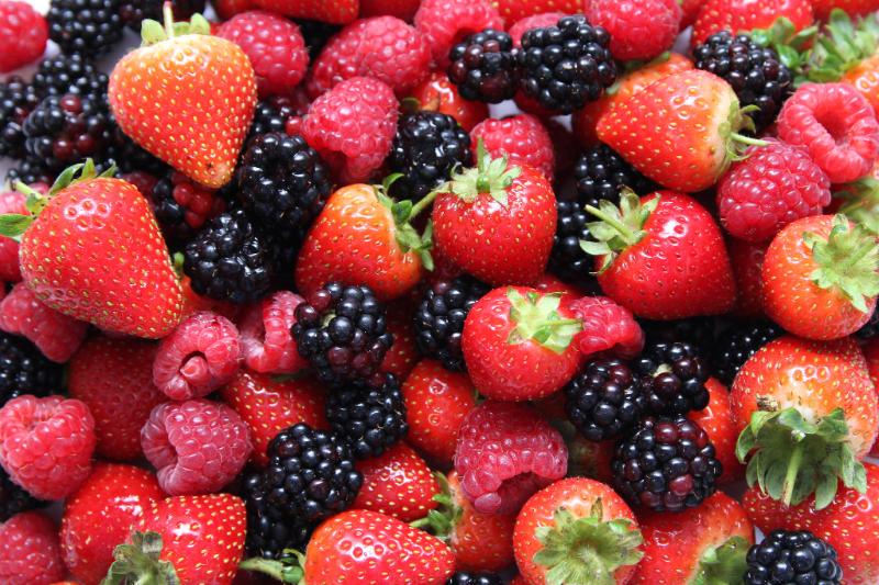 Crème catalane aux fruits noirs et rouges - Photo de ScotGov Rural - 101Pairing.com