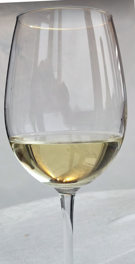Gaillac Blanc - Vins tranquilles blancs - Photo de Sylvain Torchet - 101Pairing.com