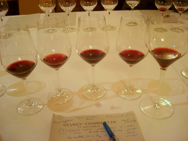 Gevrey-Chambertin - Vins tranquilles rouges - Photo de dpotera - 101Pairing.com