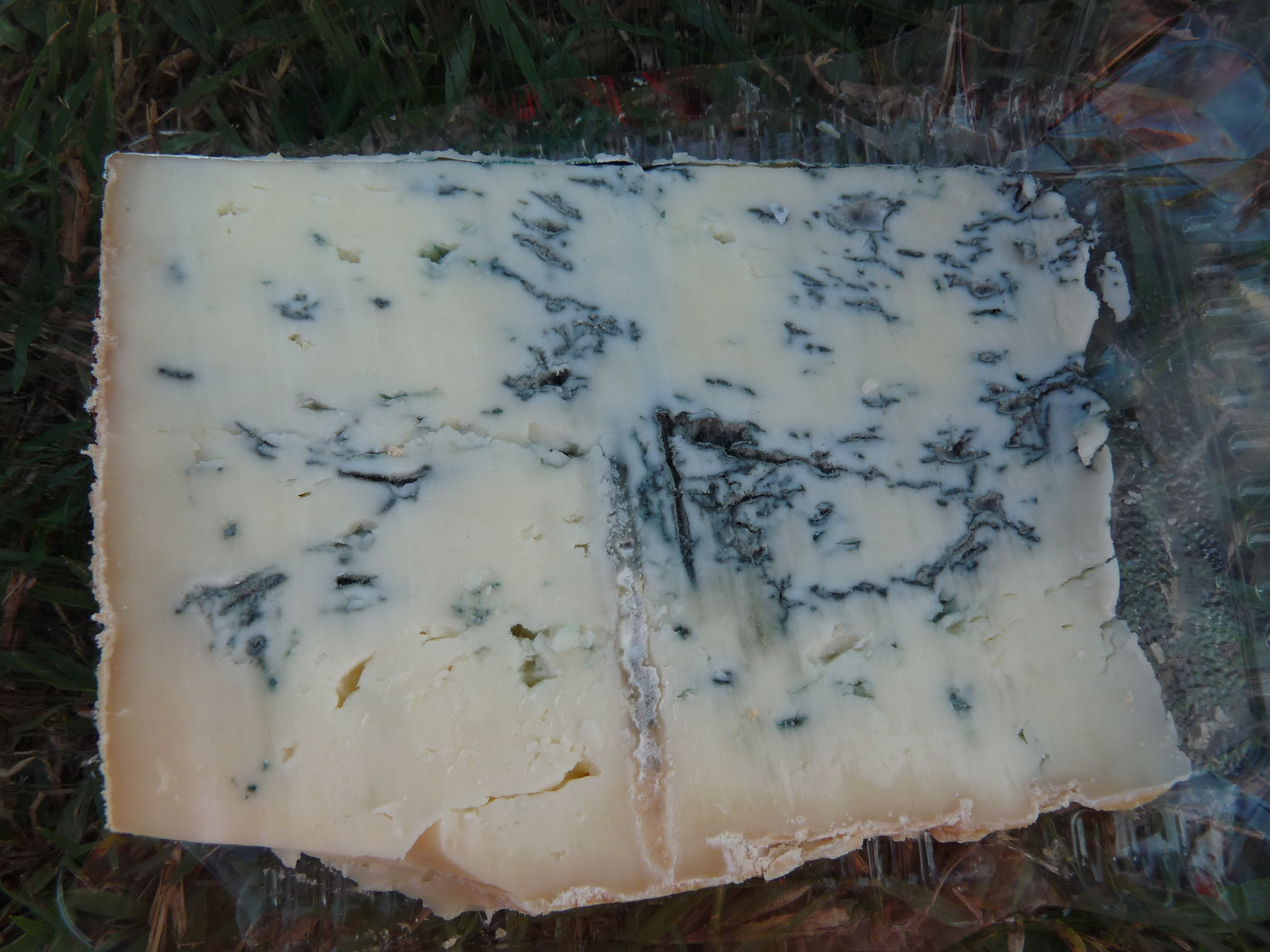 Gorgonzola piccante - Photo de Allan Parsons - 101Pairing.com