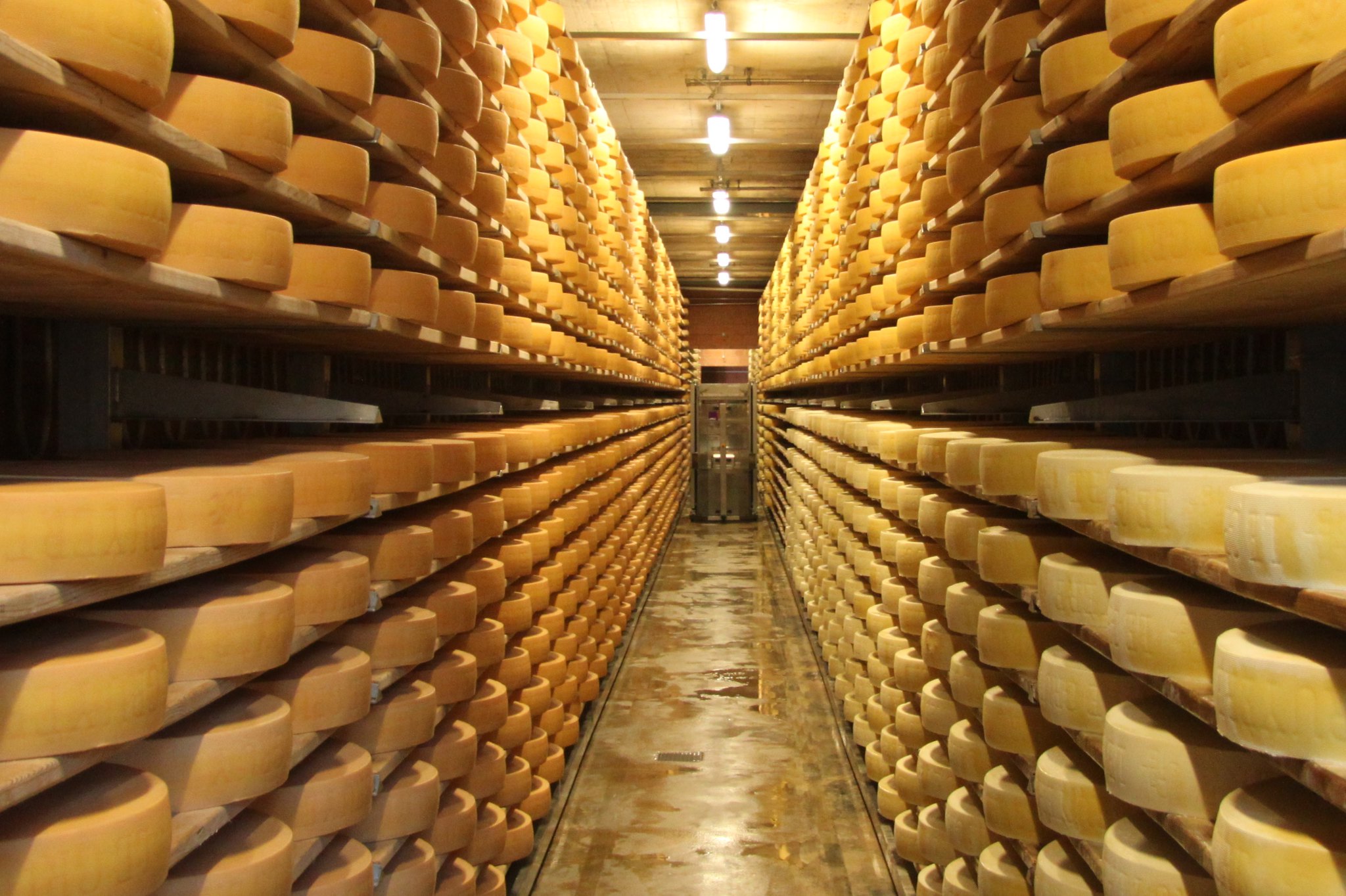 Le Gruyère bio classique - Photo de Richard Allaway - 101Pairing.com