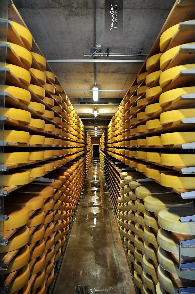 Le Gruyère bio réserve - Photo de Yann Gar - 101Pairing.com