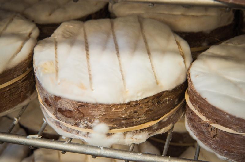 Harbison - Photo de U.S. Department of Agriculture - 101Pairing.com