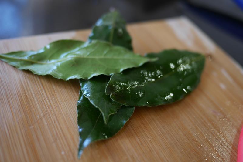 Laurier - Photo de Franklin Heijnen - 101Pairing.com