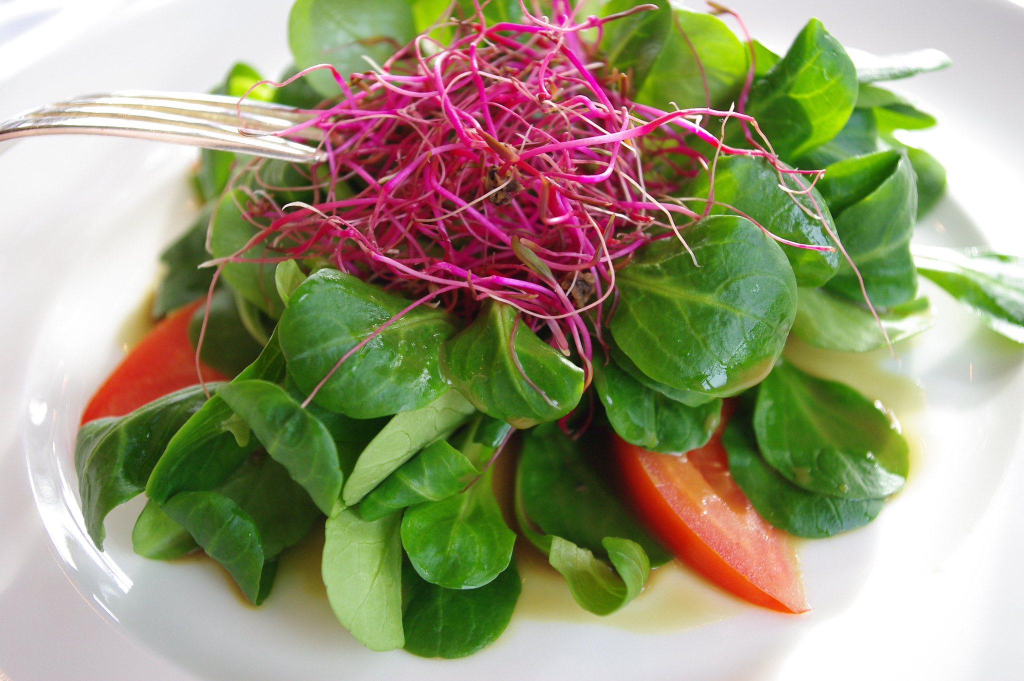 Salade de mâche - Photo de Isabelle Hurbain-Palatin - 101Pairing.com