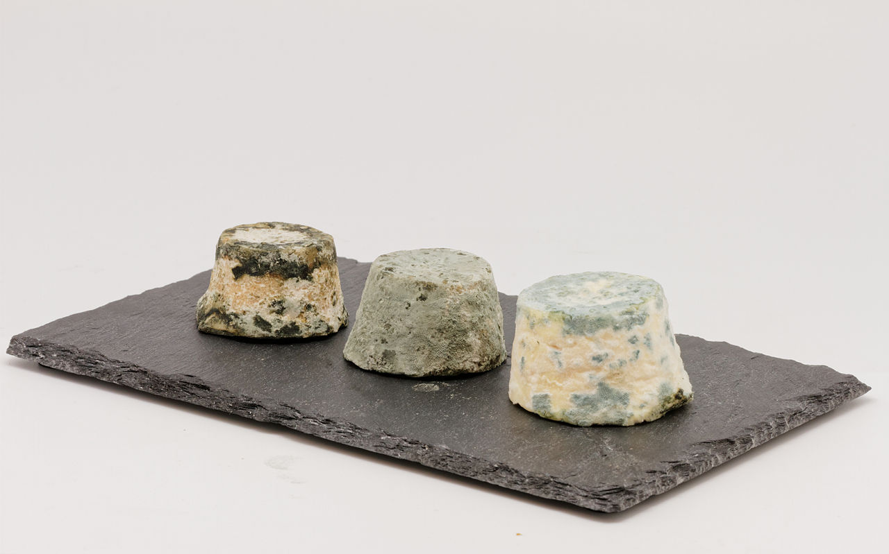 Mâconnais - Photo de Thesupermat - 101Pairing.com