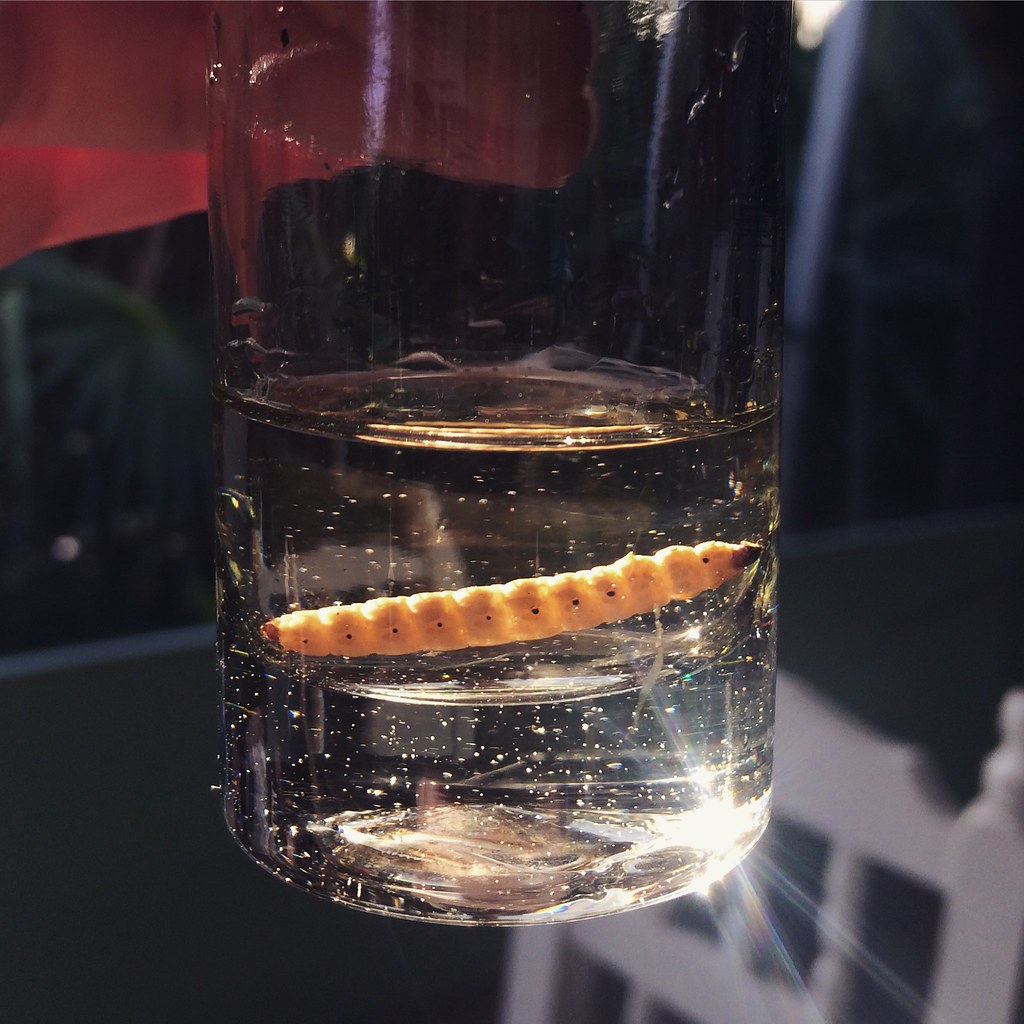 Mezcal - Eaux-de-vie et liqueurs - Photo de Peter Bjork - 101Pairing.com