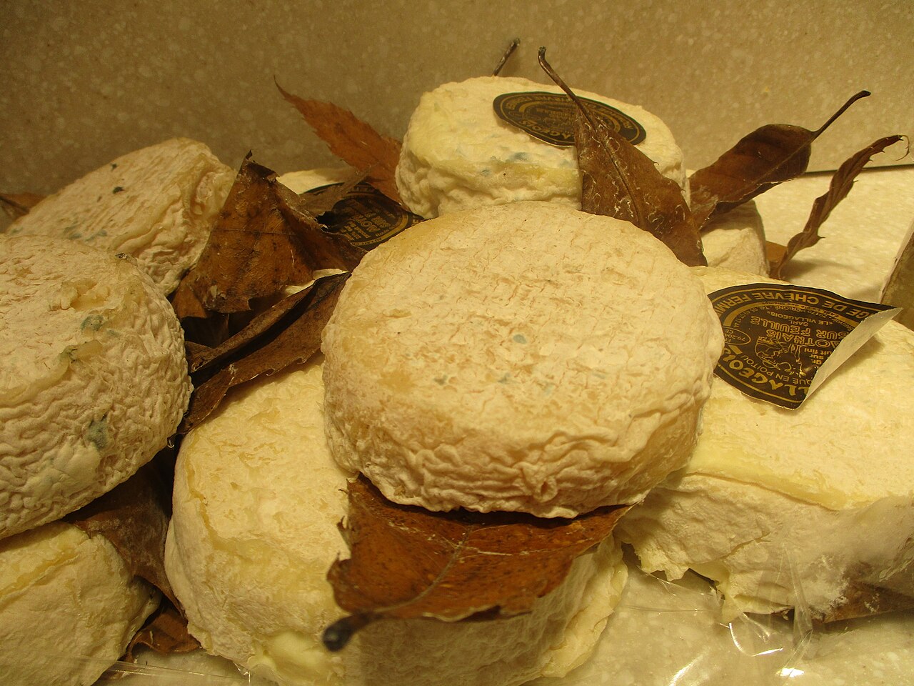 Mothais sur feuille - Photo de Thomon - 101Pairing.com