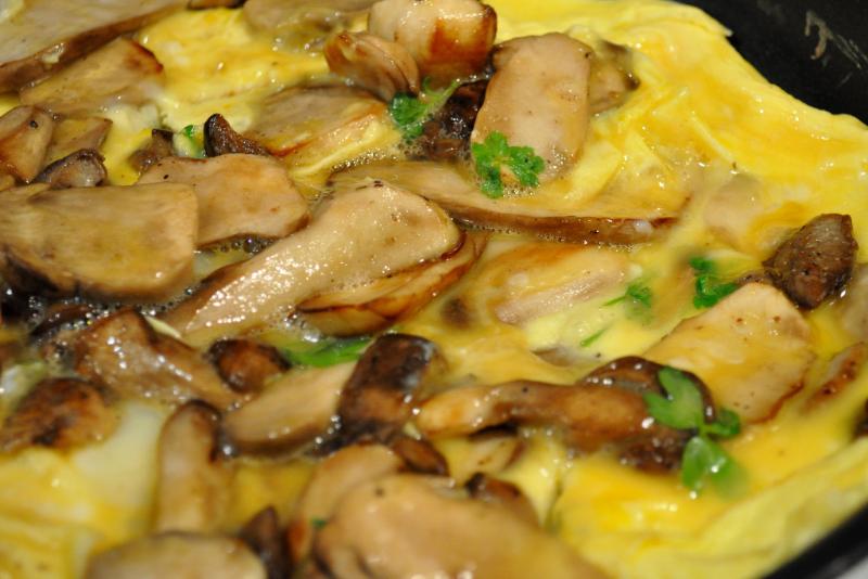 Omelette aux champignons - Photo de Frédérique Voisin-Demery - 101Pairing.com