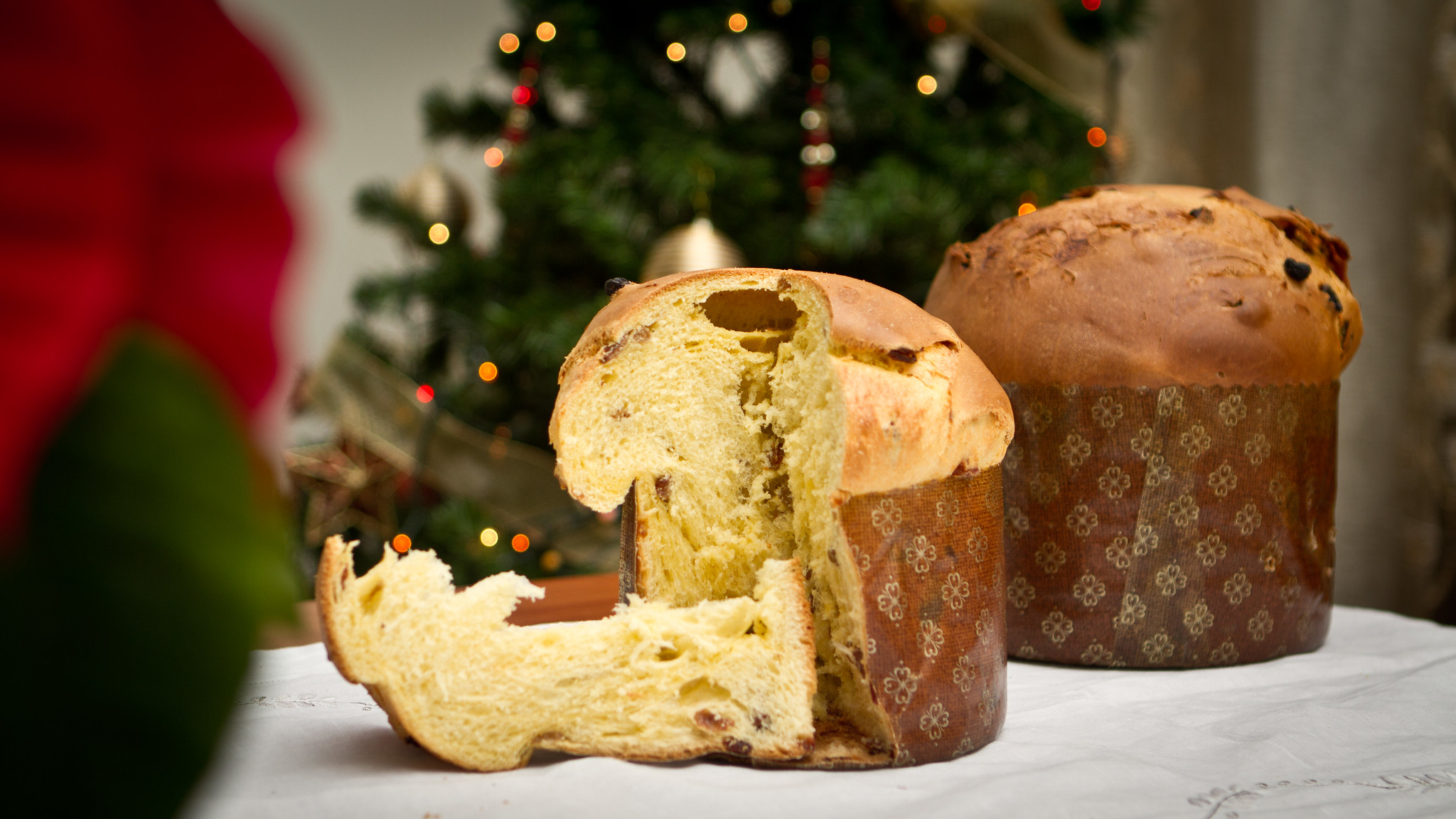 Panettone - Photo de N i c o l a - 101Pairing.com