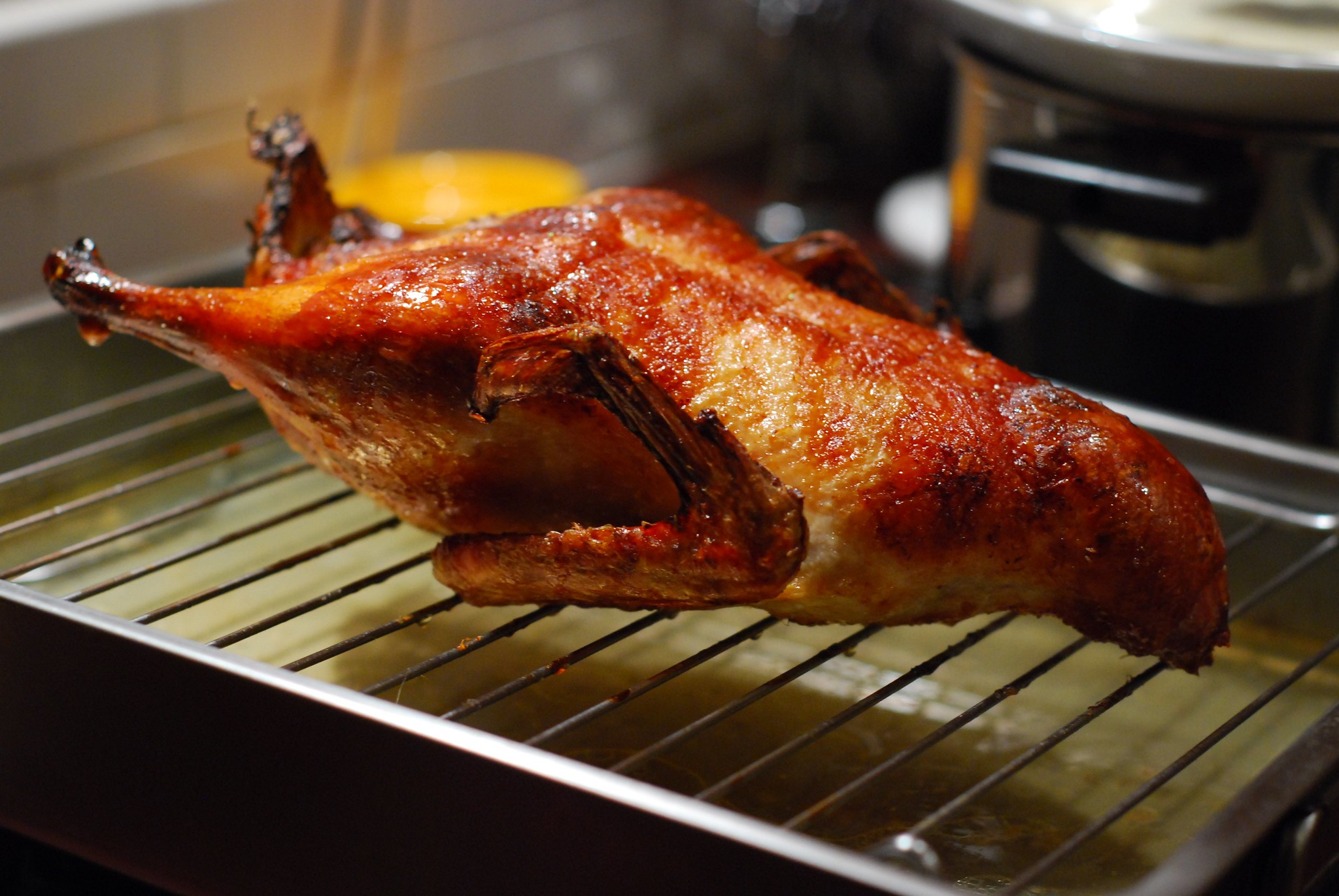 Pigeonneau rôti - Photo de Lucia Sanchez - 101Pairing.com