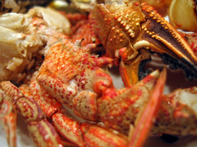 Pinces de crabe grillées - Photo de williamnyk - 101Pairing.com