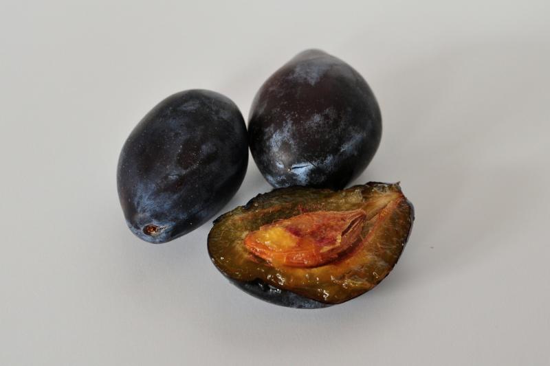 Bagatelle à la quetsche - Photo de Frédérique Voisin-Demery - 101Pairing.com