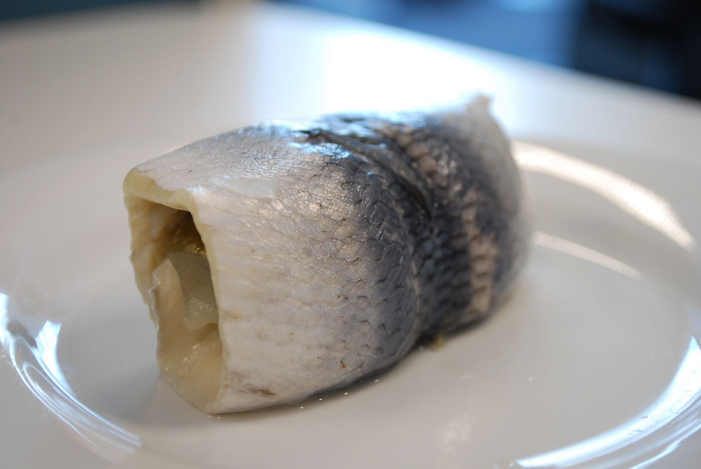 Rollmops - Photo de Alpha - 101Pairing.com