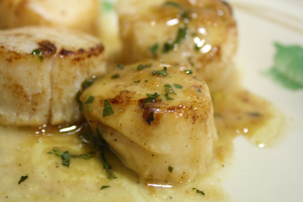 Coquilles Saint-Jacques à l’estragon - Photo de jordanmit09 - 101Pairing.com